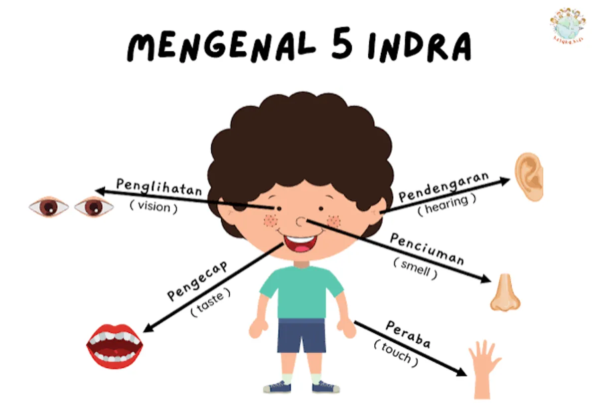 Ilustrasi metode Panca Indra di TK Taman Indria Jetis